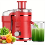 500W Powerful Centrifugal Juicer Machine - 3