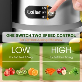 Christmas Gifts, Powerful Juicer, 1200W Juicer Machine With 3