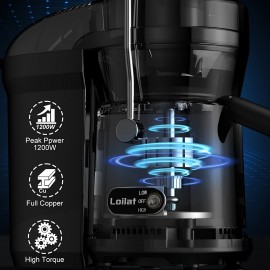Christmas Gifts, Powerful Juicer, 1200W Juicer Machine With 3