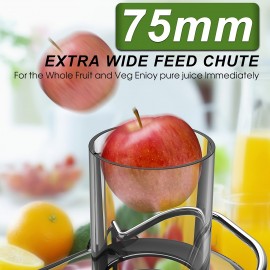 Christmas Gifts, Powerful Juicer, 1200W Juicer Machine With 3